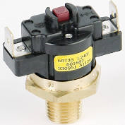 008520F | 240F CO M/R Limit Switch | Raypak