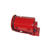 169073 | Power Pack 3 Phase Motor Tri-Volt, 3/4 HP | Bell & Gossett