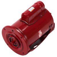 169228 | Ball Bearing Motor, 1/2 HP (PD-35S, Series 60) | Bell & Gossett