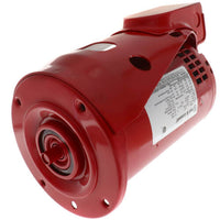 169231 | Ball Bearing Motor, 3/4 HP (PD-37T, Series 60) | Bell & Gossett