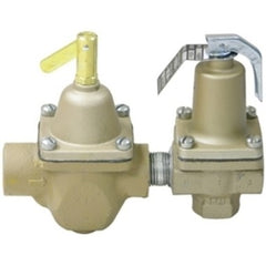 Watts 1450F Control Valve Dual 1/2 Inch NPT Cast Iron 100 Pounds per Square Inch 212 Degrees Fahrenheit | Blackhawk Supply