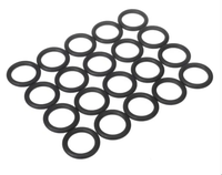 21-2010 | Gasket, 20PK | RBI Boiler