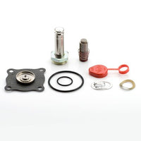 304691 | Rebuild Kit 304691 for 8215C053 Normally Open Valve | ASCO