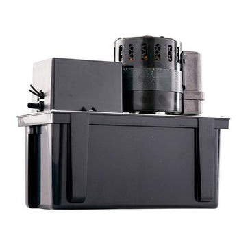 Little Giant | 553240