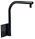 25738 | AXISPARAPETMOUNT | Johnson Controls