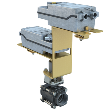 Bray | BV125-CS3-11/DMS24-180-D