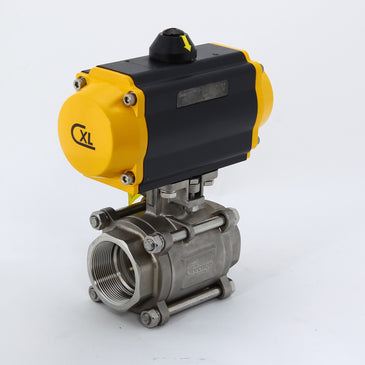 Chicago Valves | P3566R6012SR80