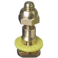 42443 | Closet Bolt Brass/Stainless Steel 5/16 x 2-1/4 Inch | Test Plug Fittings