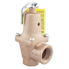 Watts 740M-30-114FS Relief Valve Water Pressure with Flood Sensor 1-1/4 Inch Female Iron 30PSI 250 Degrees Fahrenheit | Blackhawk Supply