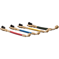 1839143 | Set of 4 Hoses 60in with Ball Valve Extensions | DiversiTech