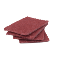 ACP-10 | All Purpose Cleaning Pads – pack of 10 | DiversiTech