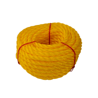 CR100 | Rope, Yellow, PP, (1/2inx50ft) | DiversiTech