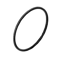 106030-01 | Gasket Burner Door | Burnham Boilers