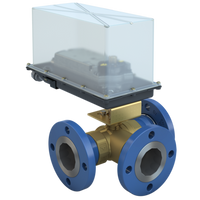 STM250-3-74/DC24-310-T-WS | 2.5