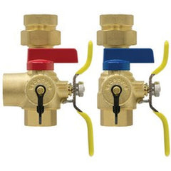 Webstone H-44444 Tankless Valve Kit E2 Lead Free 1 Inch Female Union x Female Includes High-Flow Hose Drain/Pressure Relief Valve Outlet/Adjustable Packing Gland | Blackhawk Supply