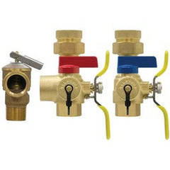 Webstone H-44444WPR3 Valve Kit EXP Wall Hung/Combi Boiler Service Lead Free 1 Inch IPS Union x IPS High-Flow Hose Drain/Pressure Relief Valve Outlet/Adjustable Packing Gland/Residential Pressure Relief Valve 30PSI/510K BT | Blackhawk Supply