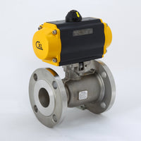 P8166RTM1040DA80 | ACTUATED 4
