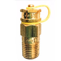 50PETE | Plug Petes 1/2 Inch Brass/EPDM for Water | ASHCROFT