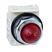 9001KP35LRR9 | PILOT LIGHT 28V 30MM TYPE K +OPTIONS | Square D