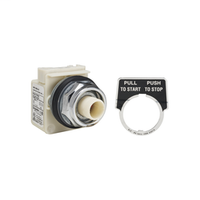 9001KR9P1 | PUSHBUTTON OPERATOR 30MM TYPE K +OPTIONS | Square D