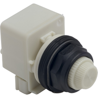 9001SKP35LWW31 | PILOT LIGHT LED 30MM SK +OPTIONS | Square D