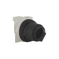 9001SKS11BH1 | SELECTOR SWITCH 600VAC 10A 30MM SK | Square D
