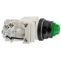 9001SKT38LGG31 | PILOT LIGHT 120V 30MM SK +OPTIONS | Square D