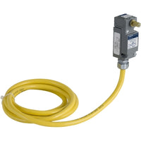 9007C54B2Y1851 | Limit switch, 9007, 600 V 10amp c +options | Telemecanique