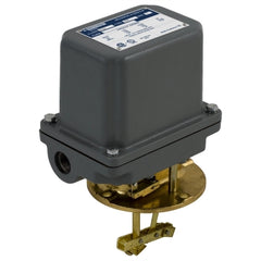 Telemecanique 9038DW8 Mechanical alternator, Pumptrol, mech closed tank, NEMA 4, flange top mounted, 4 NC DPST DB contacts | Blackhawk Supply