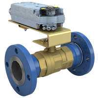 STM250-2-117/DCM24-310-A | 2.5