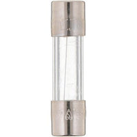 100276383 | Time Delay Fuse AO Smith 1.25 Amp 250 Volt | Water Heater Parts