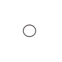 100076012 | O-Ring JASO 1025 | Water Heater Parts