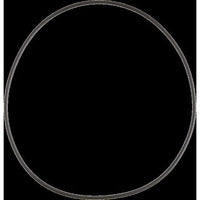 100113071 | Gasket AO Smith Fan Venturi | Water Heater Parts
