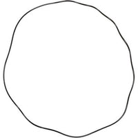 100307615 | Gasket AO Smith Door O-Ring PWH3000-4000 | Water Heater Parts