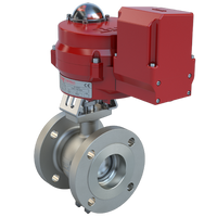 BVMS2-S150-0095/70-24-0081H-BBU | 2