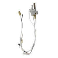 233-40877-02 | LP PILOT ASSY | Bradford White