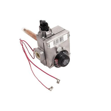Water Heater Parts | 100111296