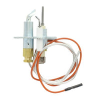 RZ097534 | Pilot Assembly for Q90FF-1 Natural Gas | Reznor