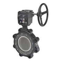 F6450-150SHP+GW23 | Butterfly Valve | 18
