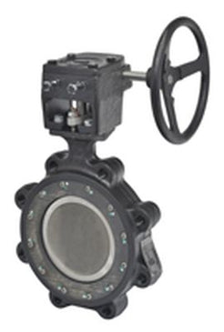Belimo | F6450-300SHP+GW24