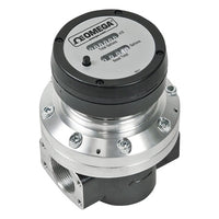 FPDM3205 | SS 1 NPT PPS RTR GAL REG | Omega