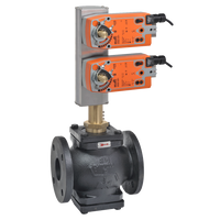 G6125CS+2*AFX24-MFT95-X1 | Globe Valve | 5