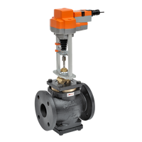 G6125CS-250+EVB24-SR | Globe Valve | 5