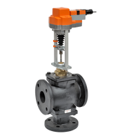 G765-250+EVX24-SR | Globe Valve | 2.5