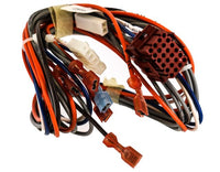 S1-02552157000 | HARNESS, FSE2 TO BOARDS, CAB2, 0VFD | York