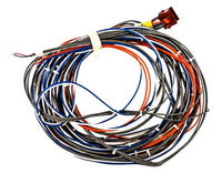 S1-02552159000 | HARNESS, FSE2 TO EDS, CAB1, VFD | York