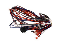 S1-02552170000 | HARNESS, BOARDS TO USE3 | York
