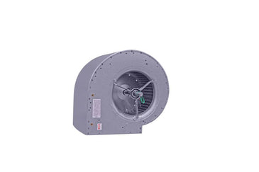 York | S1-02623848700
