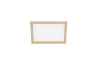 S1-02651426000 | FILTER, 2X16X25, MERV2 | York