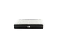 S1-AA213 | MEDIA, REPLACEMENT MERV13 FOR 20X25 (M8) Pack of 8 | Source1